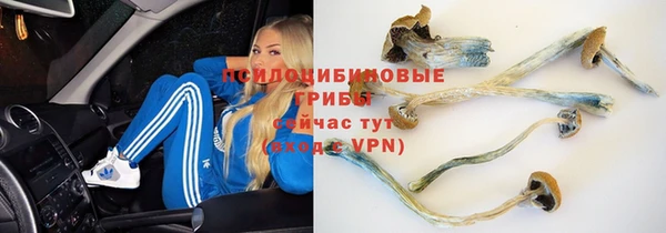 соль ск Михайловка