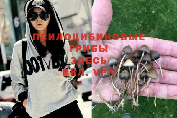 спиды Михайлов