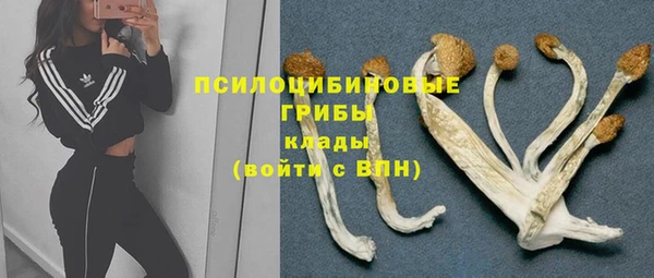 спиды Михайлов