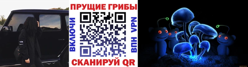МЕГА ССЫЛКА  Юрюзань  Галлюциногенные грибы прущие грибы  хочу  